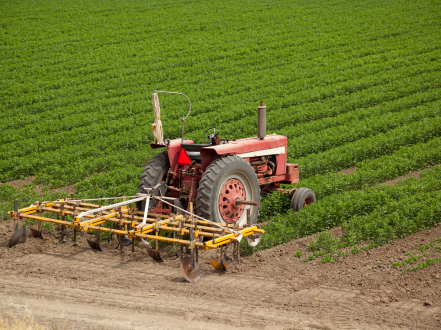 Sustainable irrigation practices