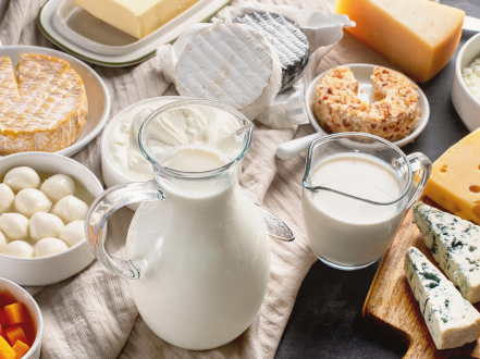 Dairy products variety